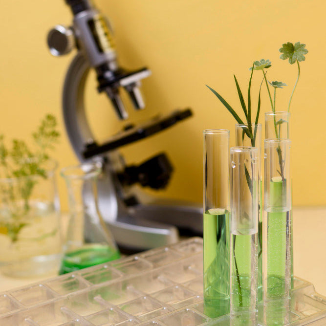 Supports scalp health and may help reduce hair thinning.