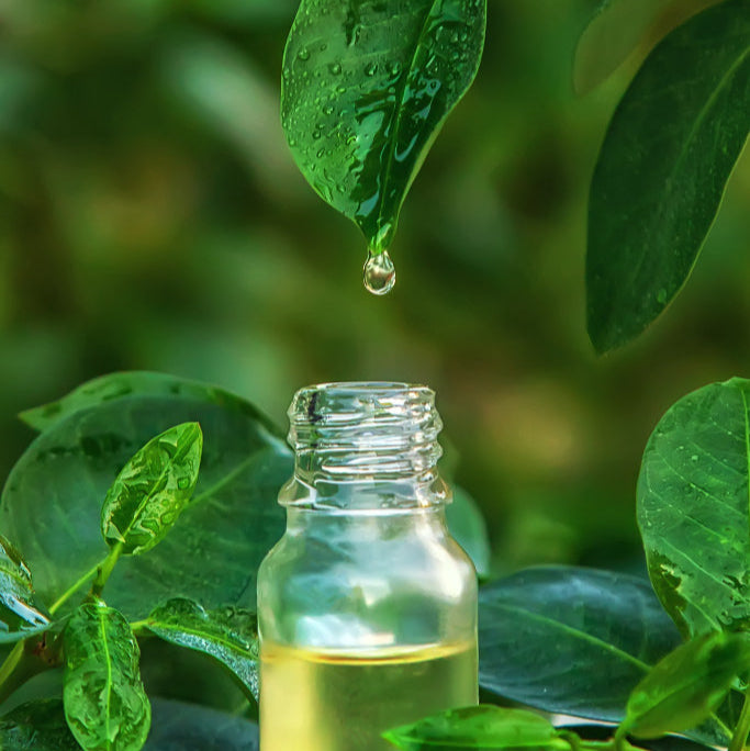 Calms irritation and defends against environmental stress.